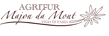 Agritur Majon da Mont Vigo di Fassa